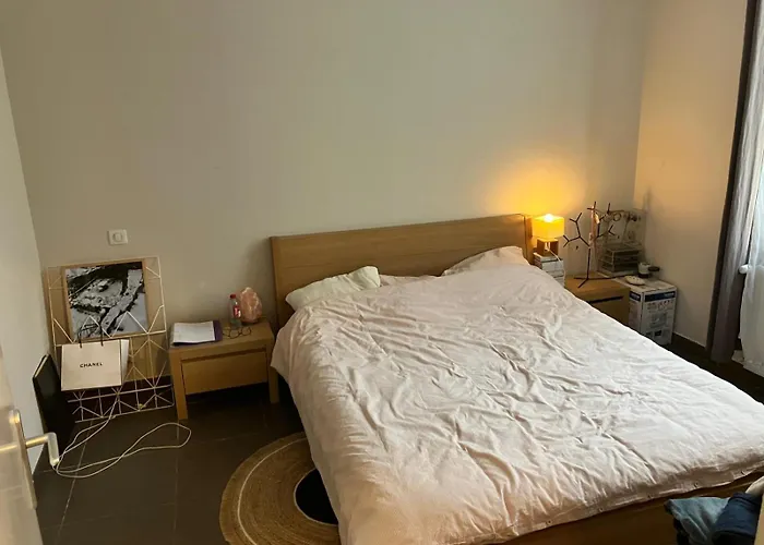 Bordeaux Centre, Appartement Privatif Et 5 Chambres Privees, Piscine, Parking